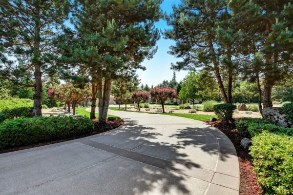 driveway landscape ideas