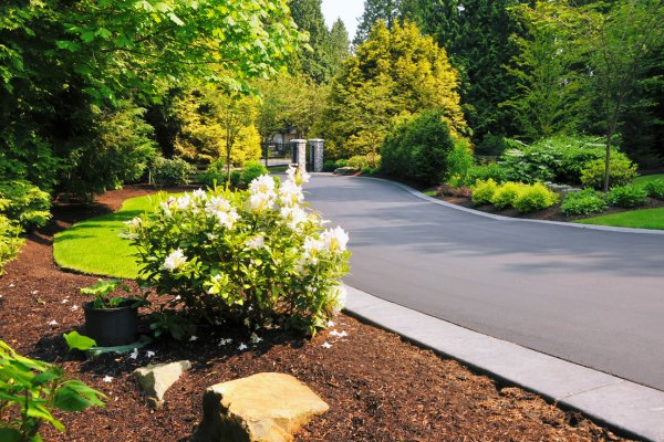 driveway landscape ideas