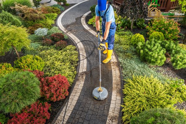 driveway landscape ideas 
