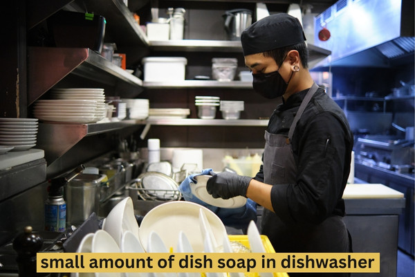 Dishwasher Detergent Alternatives