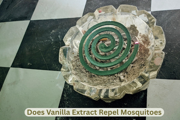 Does Vanilla Extract Repel Mosquitoes