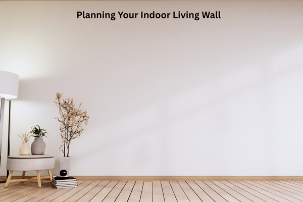 How to Build a Living Wall Indoors