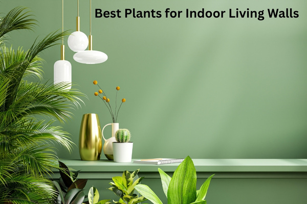 How to Build a Living Wall Indoors