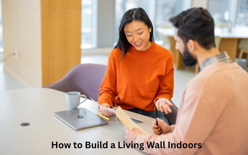How to Build a Living Wall Indoors