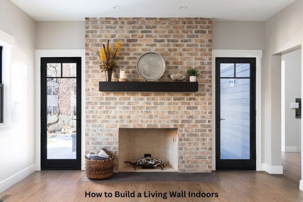 How to Build a Living Wall Indoors